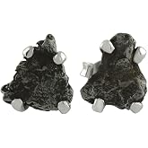 Starborn Creations Campo del Cielo Post Style Earrings