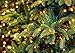 Esky Solar Fairy String Lights, OxyLED 55ft 100 LED Solar Led String Light, Outdoor Solar Powered Decoration Lights for Garden, Patio, Yard, Home, Wedding, Party, Christmas