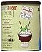 Serendipity 3 Frrrozen Hot Chocolate Mix 18oz Canister (Frrrozen Hot Mint Chocolate)