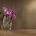 Aspect Peel and Stick Backsplash 3in x 6in Sienna Bark Glass Backsplash Tile for Kitchen and Bathrooms (8-Pack)