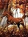 Forest Enchantment, A Heavenly Horses 300 Large Piece Jigsaw Puzzle By Lafayette Puzzle Factory