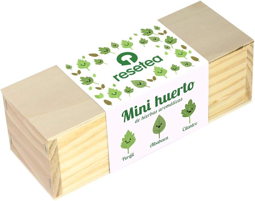 Minihuerto de hierbas aromáticas: Amazon.es: Jardín