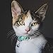 WAAAG Pet Supplies, (Cactus and Succulents) Cat Collar, Dog Collar, Small Dog Collar, Medium Dog Collar, Large Dog Collar (Blue Cactus Collar, XXS)