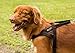 No-Pull Dog Harness - Front and Rear Clip - Reflective - Padded for Walking and Training (Medium, Black)