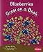 Blueberries Grow on a Bush (How Fruits and Vegetables Grow)