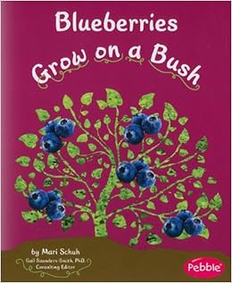 Free mp3 download for mac