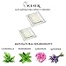 Mosquito Repellent Refills, NEOR - Pest Control Repeller, 2 Pack of Natural ant Repellent Plants Refills - Travel Insect Repellent for Babies, Adults - No Spray, NO DEET, Indoor & Outdoor, Waterproof