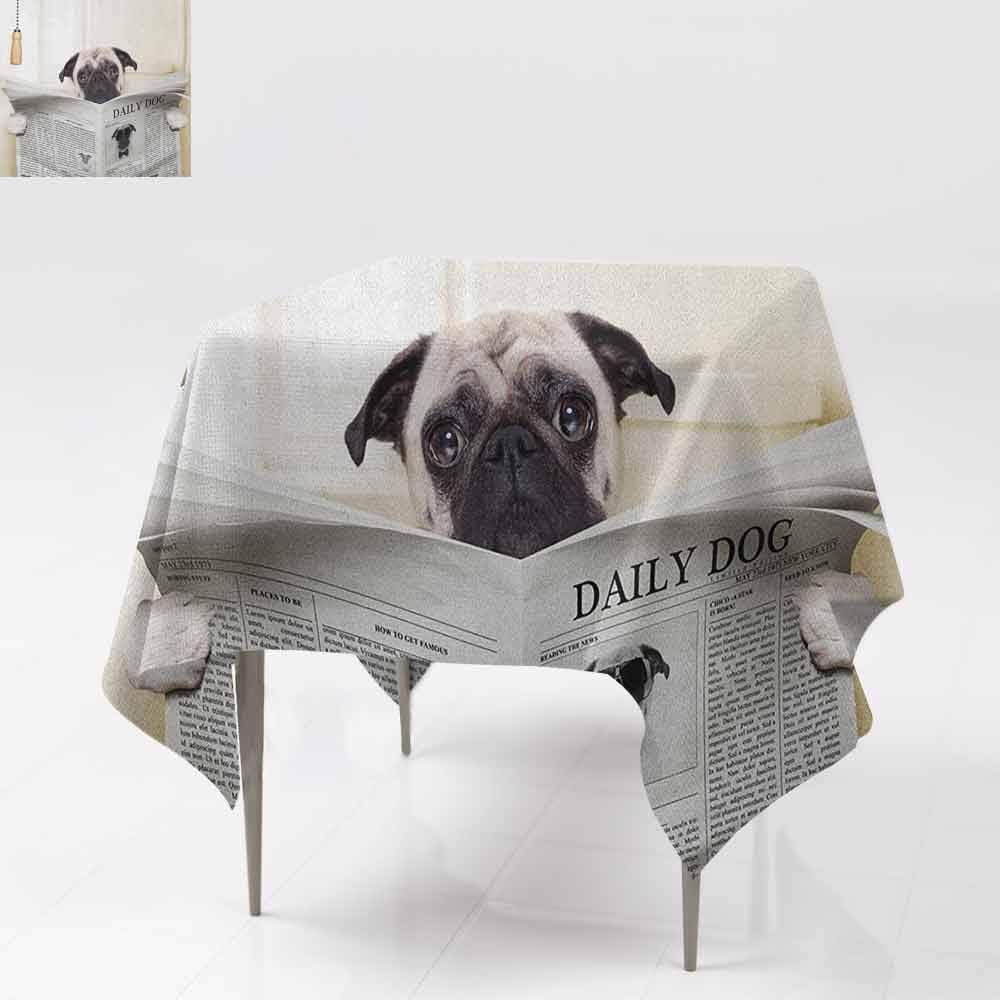 AndyTours Spillproof Tablecloth,Pug,Puppy Reading The Newspaper on The