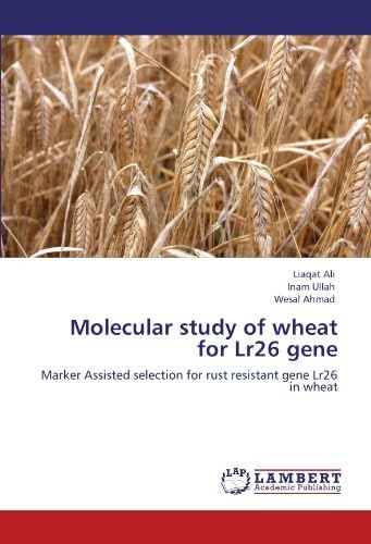 Molecular study of wheat for Lr26 gene: Marker Assisted selection for rust resistant gene Lr26 in wheat