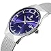 WWOOR Men's Analog Quartz Watch Ultra Thin Dial Date Stainless Steel Mesh Belt Waterproof (Blue)