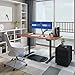 FlexiSpot E2B Standing desk Sit Stand Desk Home Office Adjustable Desk Frame