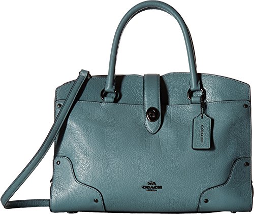 coach cloud purse