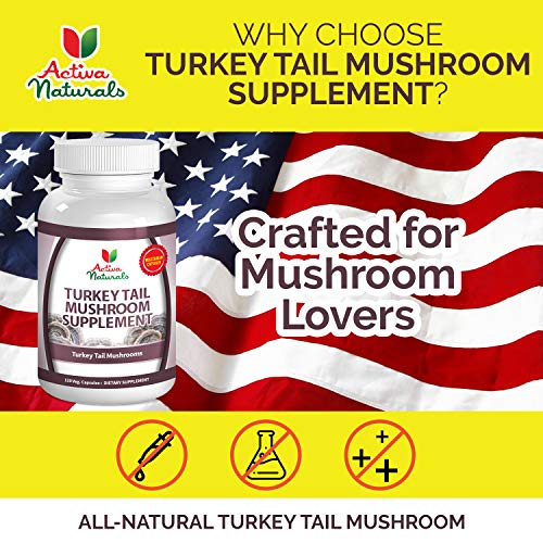 Turkey Tail Mushroom Supplement 120 Veg. Capsules with Coriolus