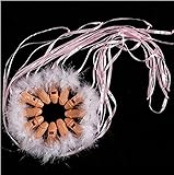 Borang 12pcs Bachelorette Party Girls Night Out Willy Penis Dicky Pecker Whistles for Wedding Party Favor Supplies (Pink Whistles)