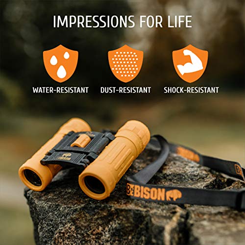 1 BeBison+Zoom+Focus+Binoculars+Educational
