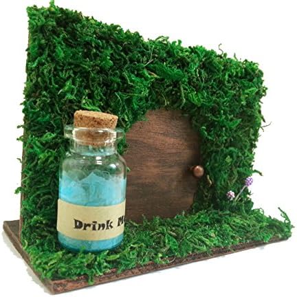 Wood &amp; Preserved Moss Alice in Wonderland Decoration Drink Me Bottle Fairy Door