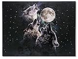 Three Wolves Howling LED Canvas Print - 3 Wolves Howling at the Moon and Starry Night Sky Scene - 16 x 12 Inch