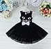 Girl Halloween Dress Black Cat Dress Fancy Holiday Party Dresses Size 6