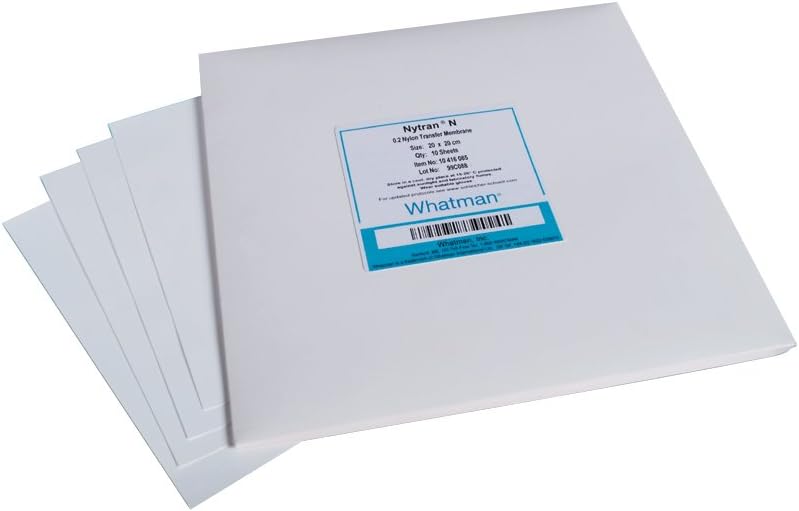 Whatman 10416285 Nylon Nytran Super Charge Blotting Filter Membrane Sheet, 20cm Length x 20cm Width, 0.45 Micron (Pack of 10)