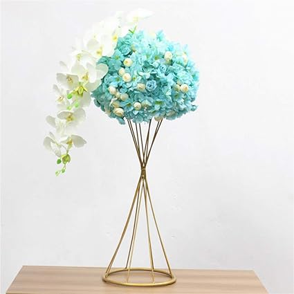 Images Nassl Images Amazoncomimagesi51gktzkai