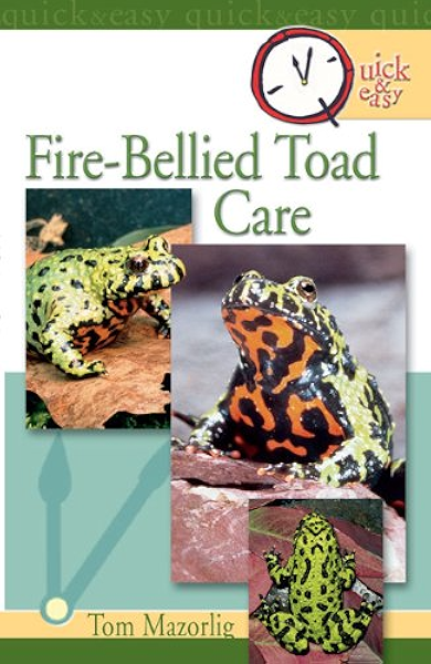 fire belly toad for sale near me