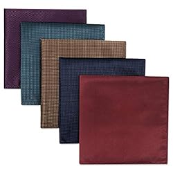 SHLAX&WING 5 Pieces Assorted Mens Silk Pocket