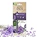 Enviroscent Autosticks Aroma Diffusers for Cars, Wild Lavender, Box of 4