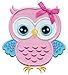 PatchMommy Iron On Applique Patch, Pink and Blue Owl - Kids Baby