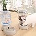 Ancaixin Automatic Cat Feeder and Water Dispenser in Set with Slicker Brush Gift | 6-Meal Automatic Dispenser with Timer for Small Large Dog Kitten (Feeder and Water Dispenser in Set with Gift Brush)