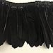 Sowder Black Duck Goose Feather Trim Fringe 2 Yards