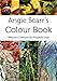 Angie Scarr's Colour Book: Nature's Colours For Polymer Clay by Angie Scarr