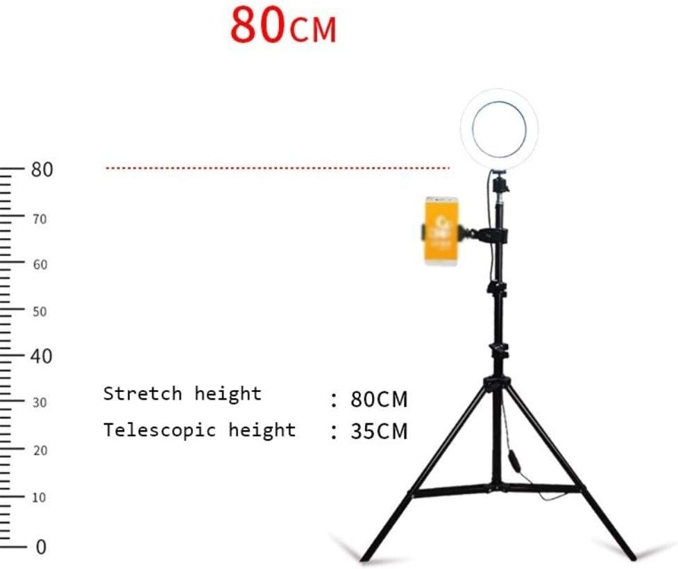 Adjustable Floor Lamp Modern Minimalist LED Stepless Dimming Beauty Lamp Fill Light Beauty Nail Eyelash Eye Protection Eye Multifunction Floor Lamp Home Lighting (Color : A)