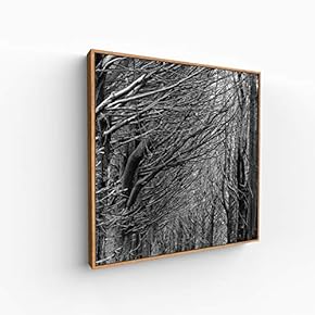 Canvas Wall Art for Living Room, Bedroom Monochrome Image Framed Canvas Prints for Home Decoration Ready to Hang - 16x16 inches