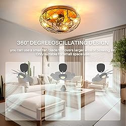 REDSTAR Modern Low Profile Cage Ceiling Fan with