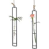 Sziqiqi Hanging Clear Glass Propagation Tube Vase for Cuttings, Hydroponic Plant Propagation Home Balcony Floral Container Wall Decoration Black 2ps (L+L)