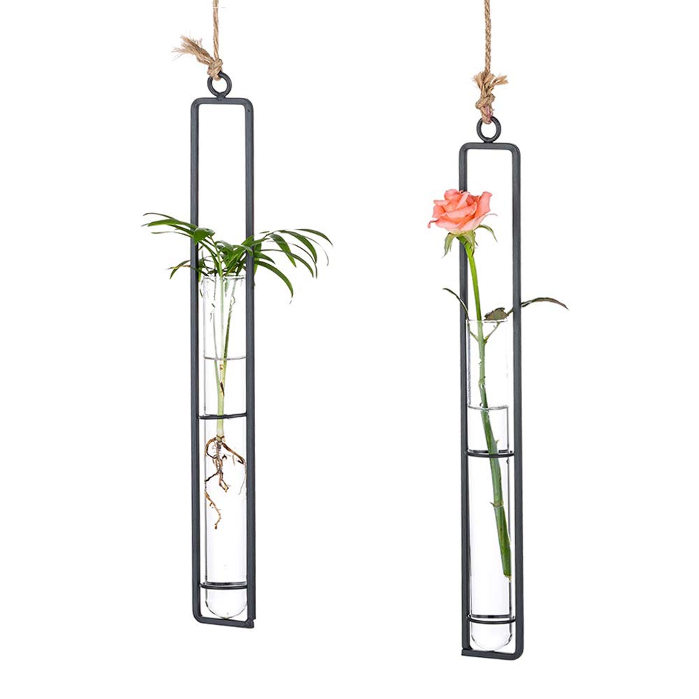 Photo 1 of Sziqiqi Hanging Clear Glass Propagation Tube Vase for Cuttings, Hydroponic Plant Propagation Home Balcony Floral Container Wall Decoration Black 2ps (L+L)