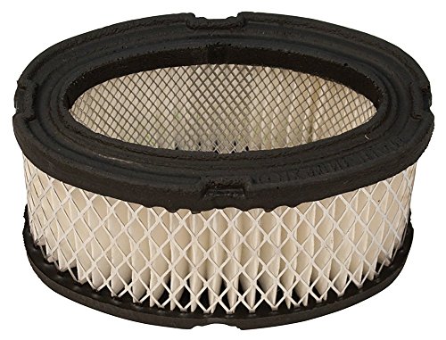 Raisman Air Filter Replaces John Deere M49746/Tecumseh 33268
