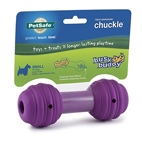PetSafe Busy Buddy Chuckle Dog Toy, Medium/Large