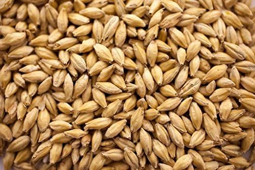 Gambrinus Munich Light Malt - 1 LB, Crushed