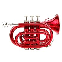 Red Pocket Trumpet

