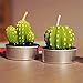 Cactus Tealight Candles Handmade Delicate Succulent Tea Light For Home Birthday Party Wedding Decor 6 Pcs