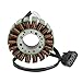 Motor Lichtmaschine Magneto Generator Engine Alternator Stator Coil Compatible with YAMAHA YZF 1000 R1 YZFR1 2002 2003