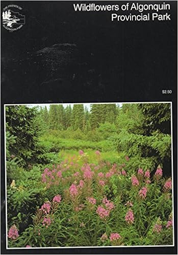 Wildflowers Of Algonquin Provincial Park Strickland Dan Levay John Amazon Com Books