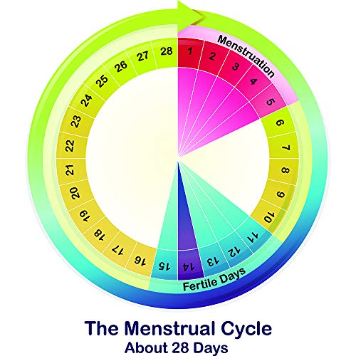 Wondfo Combo Ovulation and Pregnancy Tests,20 LH + 5 HCG