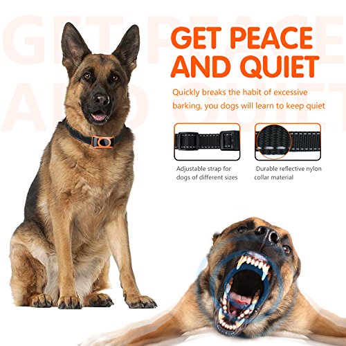 mospro dog training collar