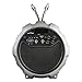 Denali Audio Sound Cannon Portable Wireless Bluetooth Speaker with Subwoofer