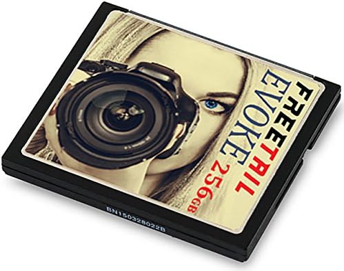 FreeTail EVOKE 256GB 1066x CompactFlash Card - (Up to 160MB/s Read, Up to 150 MB/s Write) - VPG-65 UDMA 7 CF Card – FTCF256A10 – Ideal for Professional Photographers &amp; DSLRs