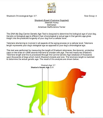 how to tell what breed my puppy is