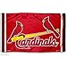 WinCraft St. Louis Cardinals Birds Flag and Banner