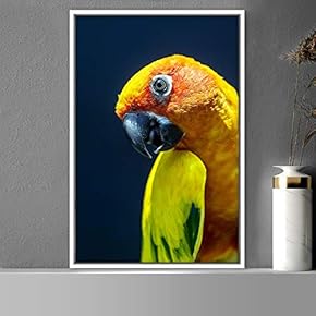 signwin Framed Canvas Wall Art Single Bird Birds...